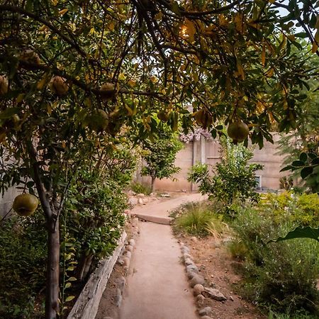 Vicuña Casa Dorisヴィラ エクステリア 写真