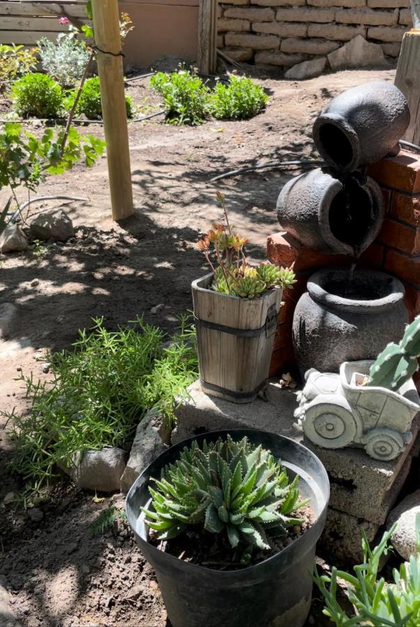 Vicuña Casa Dorisヴィラ エクステリア 写真