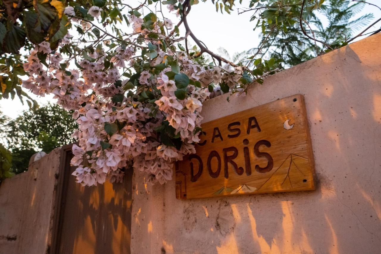 Vicuña Casa Dorisヴィラ エクステリア 写真