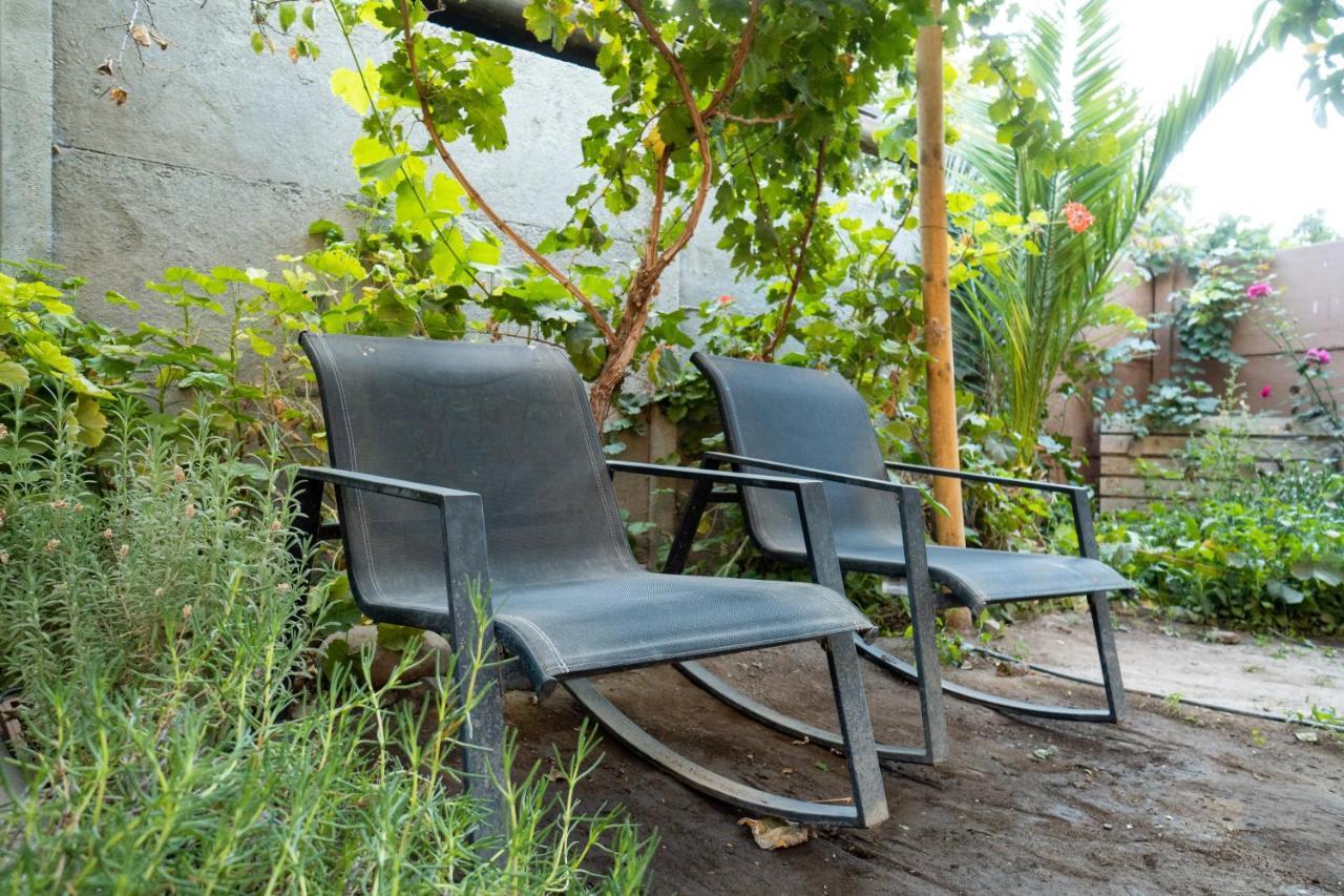 Vicuña Casa Dorisヴィラ エクステリア 写真